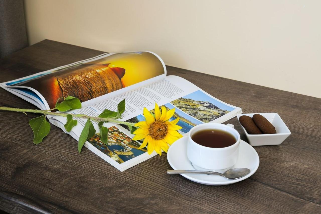Hotel Borys Airport 3*
